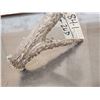 Image 6 : Giant 87 3/8" 5 Point Whitetail Shed Antler