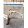 Image 7 : 82" Gross Whitetail Shed Antler