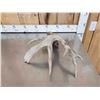 Image 7 : 103 5/8 Texas Whitetail Shed Antler