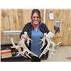 Image 4 : Monster Set Of 289" Whitetail Shed Antlers