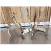 Image 1 : Set Of Heavy Mass 250" Whitetail Shed Antlers