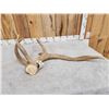 Image 4 : Freak Nontypical Elk Shed Antler