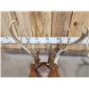 Image 3 : 2 Sets Of Whitetail Antlers On Plaques