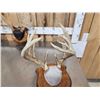 Image 6 : 3 Sets Of Whitetail Antlers On Plaques 1 Mini Monster