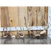 Image 1 : 2 Nice Sets Of Whitetail Antlers On Skull Plate