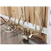 Image 3 : 2 Nice Sets Of Whitetail Antlers On Skull Plate