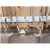Image 5 : 2 Nice Sets Of Whitetail Antlers On Skull Plate