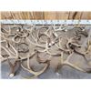Image 3 : 23.9 Lbs Of Whitetail Antlers