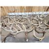 Image 4 : 23.9 Lbs Of Whitetail Antlers