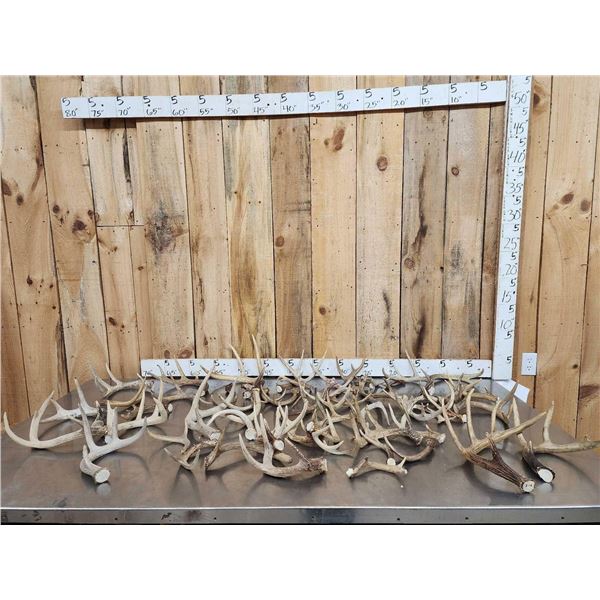 26.4 Lbs Of Deer Antlers