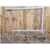 Image 1 : 26.4 Lbs Of Deer Antlers