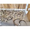 Image 2 : 26.4 Lbs Of Deer Antlers