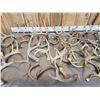 Image 4 : 26.4 Lbs Of Deer Antlers