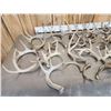 Image 5 : 26.4 Lbs Of Deer Antlers