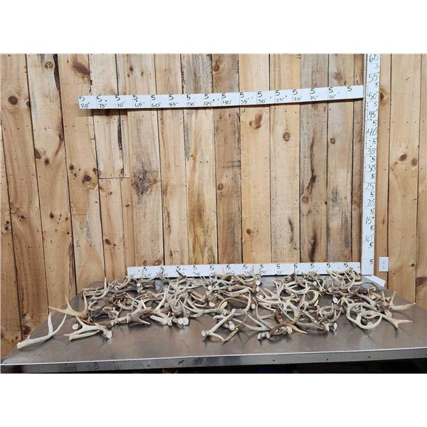 28.5 Lbs Of Deer Antlers