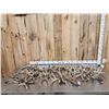 Image 1 : 26.7 Lbs Of Whitetail Antlers
