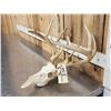 Image 3 : Main Frame 5x5 Whitetail Antlers On Skull