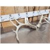 Image 3 : Set Of Freak Nontypical Whitetail Shed Antlers