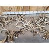 Image 3 : 28.4 Lbs Of Deer Antlers