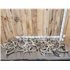 Image 1 : 42.6 Lbs Of Deer Antlers