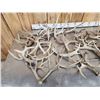 Image 4 : 42.6 Lbs Of Deer Antlers