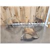 Image 4 : 21.8 Lbs Of Moose Shed Antlers