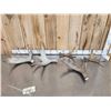 Image 1 : 12.3 Lbs Of Moose Antlers