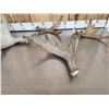 Image 3 : 12.3 Lbs Of Moose Antlers
