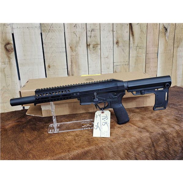 Patriot Ordinance Factory Model P-SG-22 .22 semi Auto Pistol