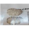 Image 7 : Adena Preform & Table Rock Stone Points Native American Artifact