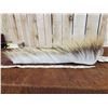 Image 3 : Native American Made Porcupine hair Roach