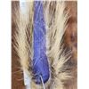 Image 5 : Native American Made Porcupine hair Roach