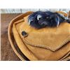 Image 5 : Native American Style Buckskin & Black Bear Paw Purse