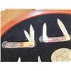Image 5 : Rocky Mountain Elk Foundation Knife Display