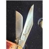 Image 9 : Rocky Mountain Elk Foundation Knife Display