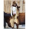 Image 1 : Native American Style Black Bear Head Dress