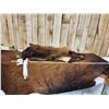 Image 4 : Native American Style Black Bear Head Dress