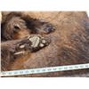 Image 5 : Native American Style Black Bear Head Dress