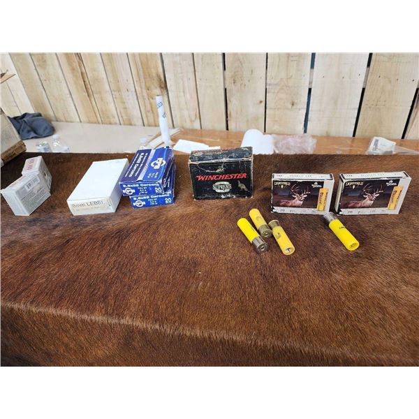 Miscellaneous Ammunition Lot