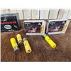 Image 2 : Miscellaneous Ammunition Lot