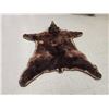 Image 3 : Big Chocolate Phase Black Bear Rug Taxidermy