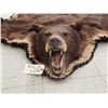 Image 6 : Big Chocolate Phase Black Bear Rug Taxidermy