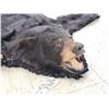 Image 6 : Black Bear Rug Taxidermy