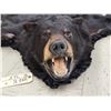 Image 7 : Black Bear Rug Taxidermy
