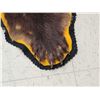 Image 10 : Alaskan Grizzly Bear Rug Taxidermy
