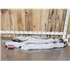 Image 1 : 2 Blue Ranch Fox Soft Tanned Furs Taxidermy