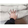 Image 3 : 2 Blue Ranch Fox Soft Tanned Furs Taxidermy