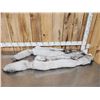 Image 5 : 2 Blue Ranch Fox Soft Tanned Furs Taxidermy
