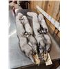 Image 6 : 2 Blue Ranch Fox Soft Tanned Furs Taxidermy