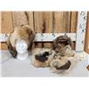 Image 1 : Coyote Fur Hat Ear Muffs & Mittens